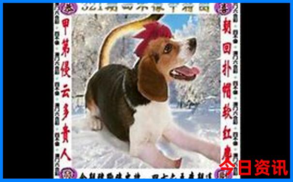 西安市有哪些景点