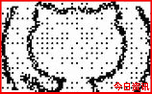 九龙图库正版图库下载